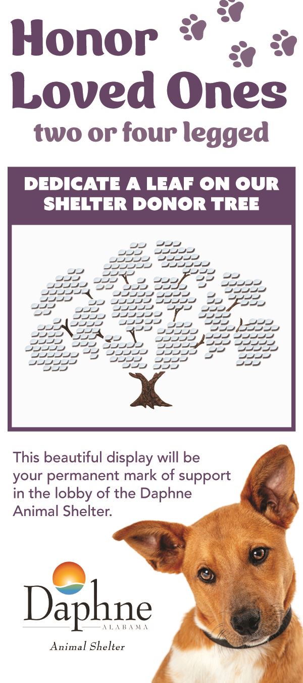 Donor Tree Flyer Front