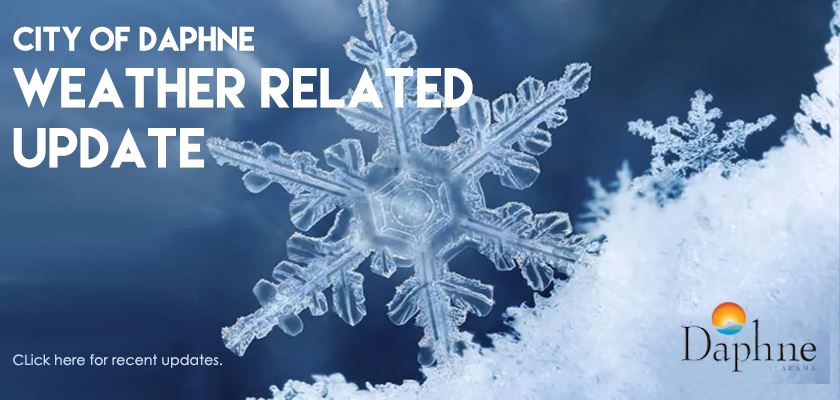 WEATHER Updates DIGITAL Jan2025 copy